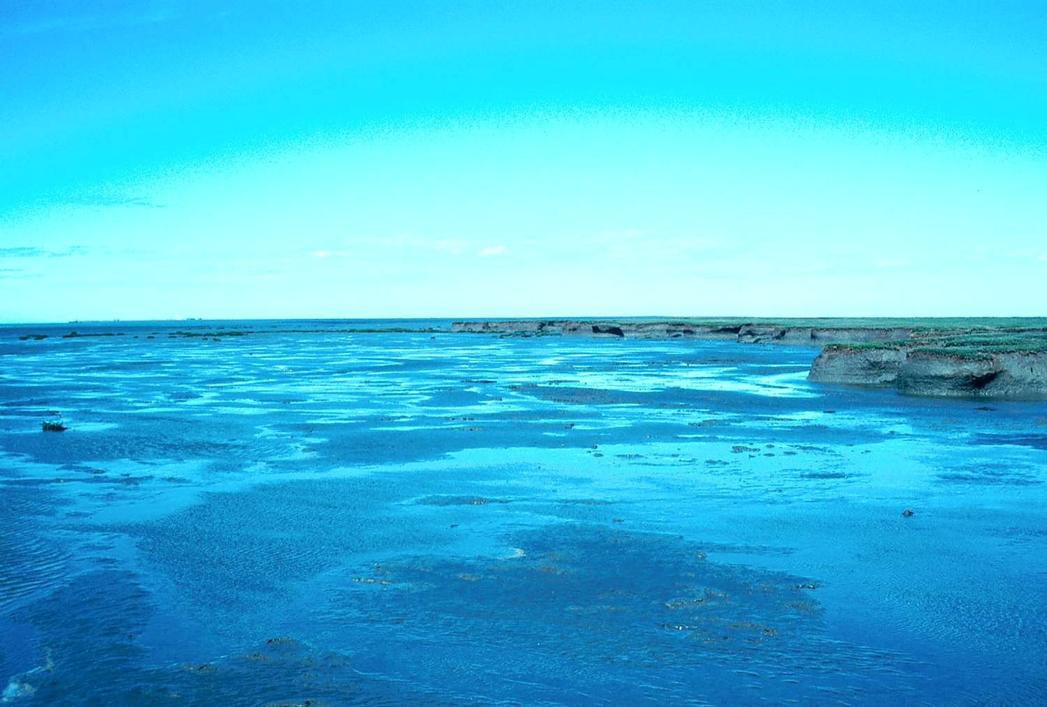 tidal flat