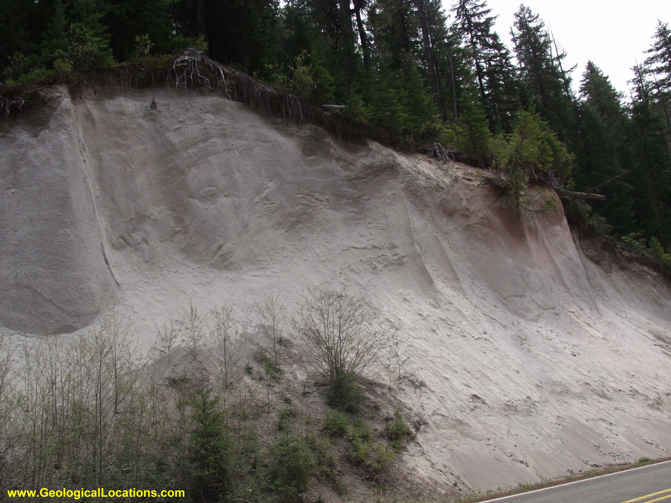 ash outcrop 2